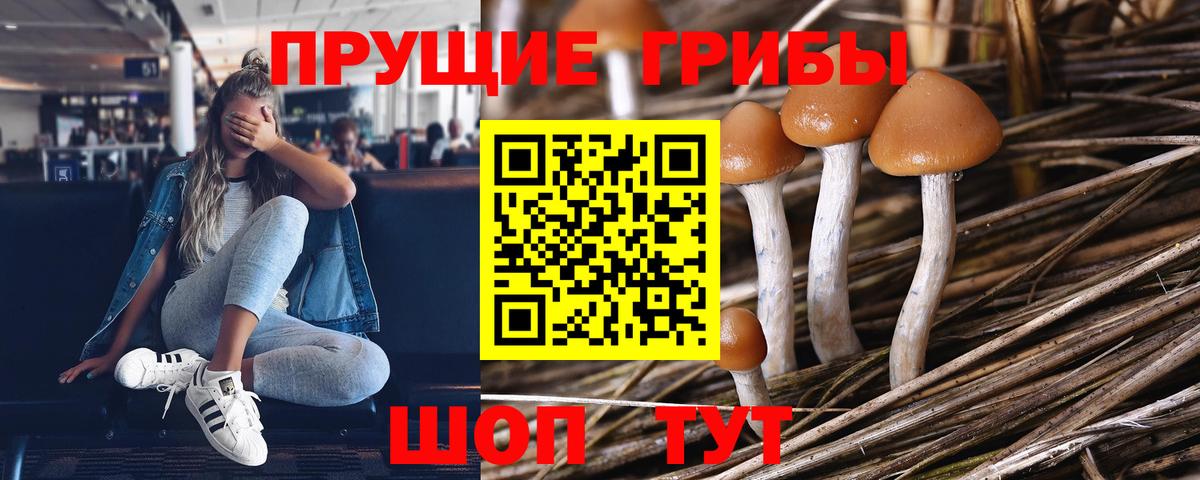 Псилоцибиновые грибы ЛСД  Вход с VPN  Костомукша 